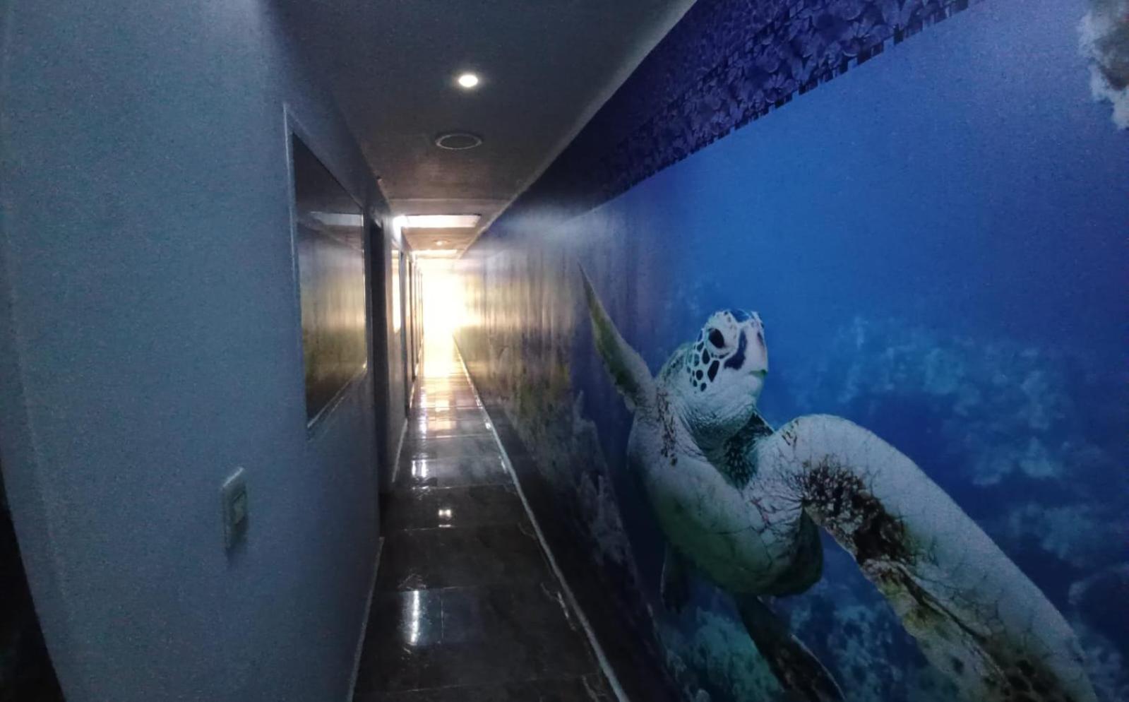 Hotel Dmauro Cartagena ภายนอก รูปภาพ